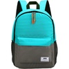Peacock blue/dark gray